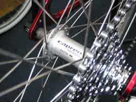 MOULTON